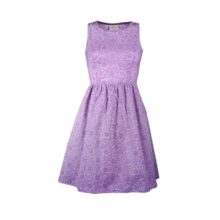 tamarind violette sur fond blanc